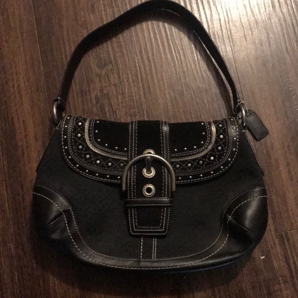 Black Purse, Great Size